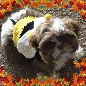 Meet your Posher, Nancy